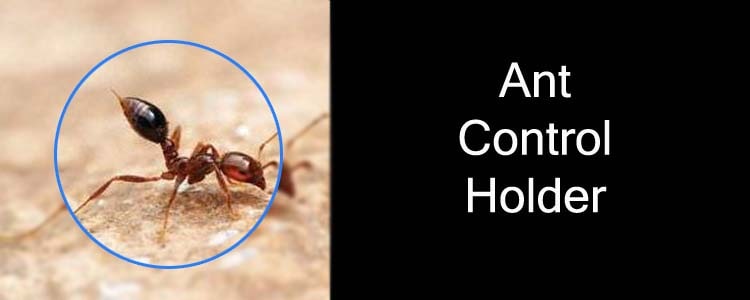Ant Control Holder